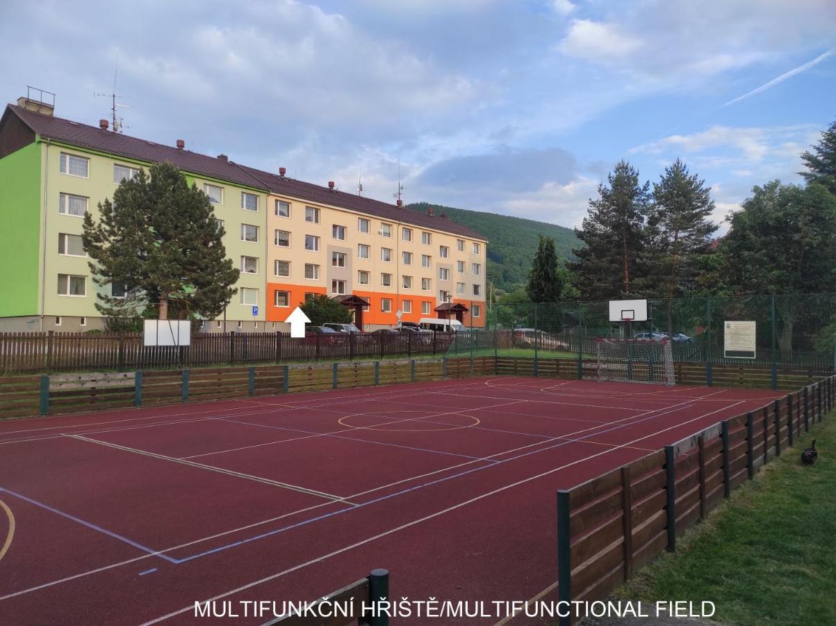 Dobre Misto Apartment Loučná nad Desnou Exterior foto