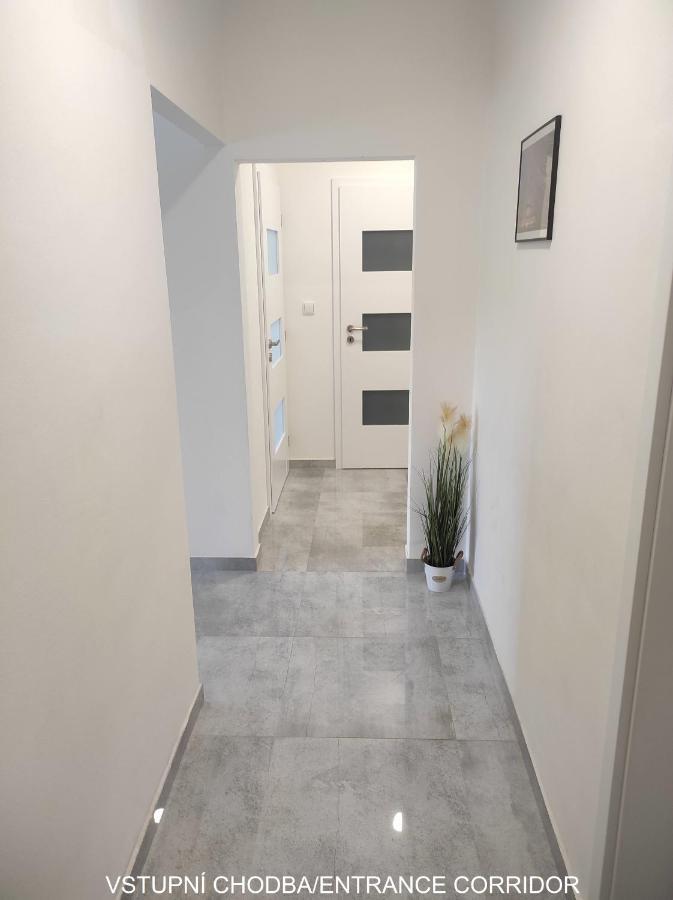 Dobre Misto Apartment Loučná nad Desnou Exterior foto